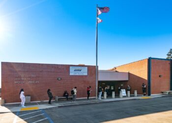 Read ID vs. driver’s license: Everything you need to know