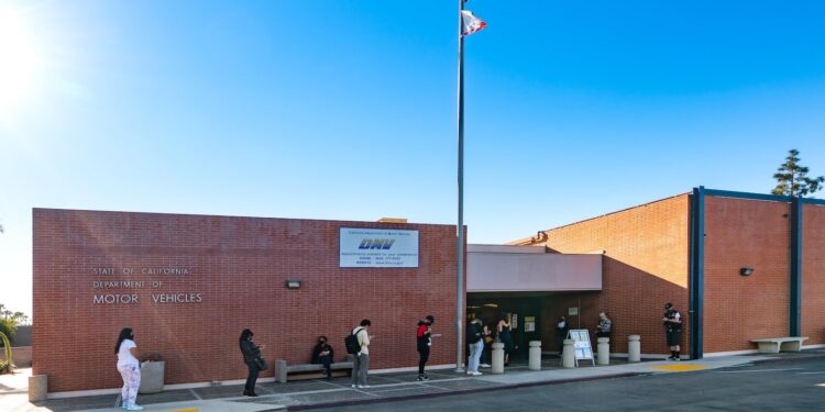 Read ID vs. driver’s license: Everything you need to know