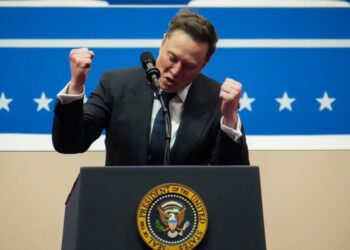 These documents are influencing the DOGE-sphere’s agenda