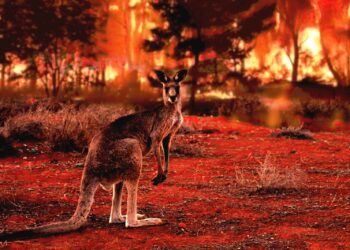 The World Has Changed – And So Must The Planet D