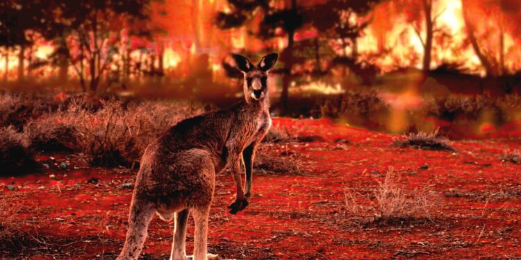 The World Has Changed – And So Must The Planet D