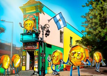 Argentina finalizes rules for virtual asset providers