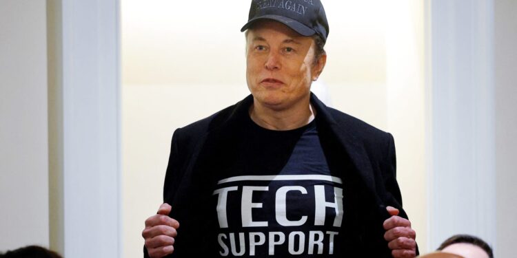 Tesla shares declined every week since Elon Musk went to Washington