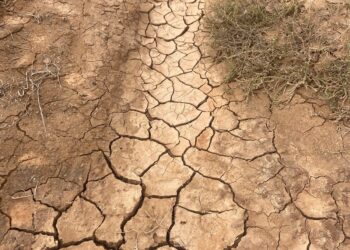 You Either Fit into the Algorithm, or You’re Fu(%ed | by Kim G. | The Startup | Mar, 2025