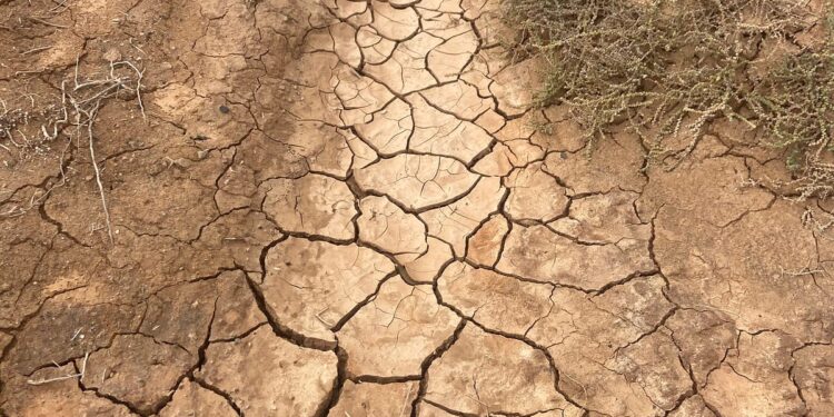 You Either Fit into the Algorithm, or You’re Fu(%ed | by Kim G. | The Startup | Mar, 2025