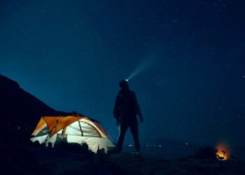 Why Chief Customer Officers Must Embrace Predictive AI