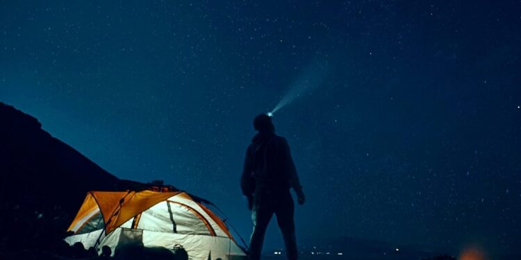 Why Chief Customer Officers Must Embrace Predictive AI