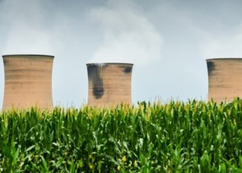 Do financiers believe in sustainability or not?