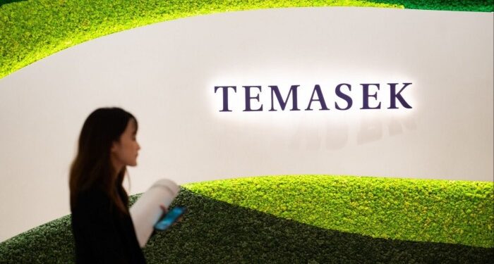 Temasek and Warburg Pincus seek up to $5bn for sale of healthcare company GHX