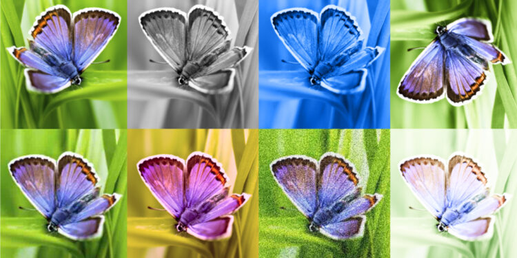 Identifying AI-generated images with SynthID