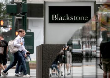 Blackstone joins Vanguard to expand into individuals’ portfolios