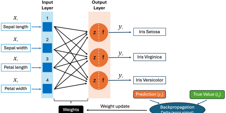 Building a Neural Network in C++ with the Iris Dataset from scratch | by Henri Aycard | May, 2025