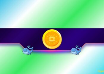 Can These 2 Factors Fuel a $10 ADA?