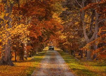 Best Day Trips from Toronto for 2025: Top 24 Escapes