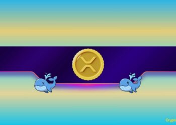 What Does it Mean for Ripple’s Price?