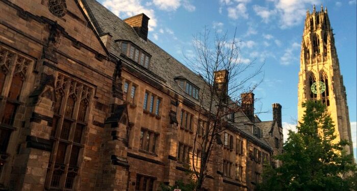 Private equity’s bind should prompt an investor rethink