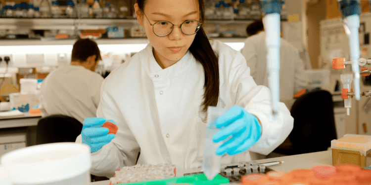 Stopping malaria in its tracks