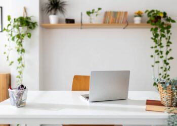 How To Start a Business With No Money (Here’s How I Did It)