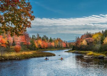 How to visit America’s national parks for less