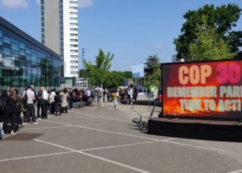 Governments will be key to fixing the carbon credit market