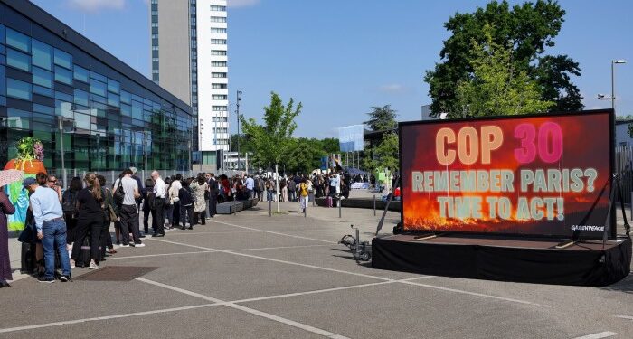 Governments will be key to fixing the carbon credit market