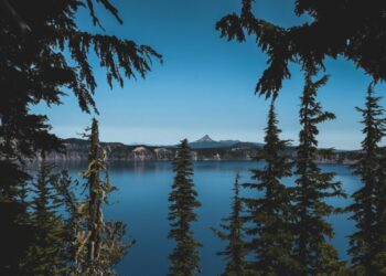 Top 10 Pacific Northwest Marketing Agencies