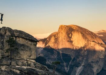 Safety Wing Review (Updated 2025)