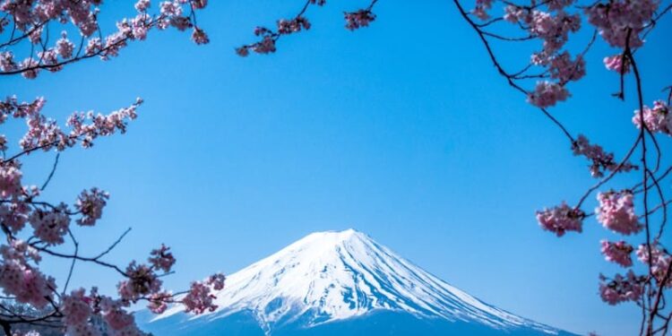 The Descent Is Harder Than the Climb: Lessons in Leadership from Mt. Fuji | by Victoria Drake | The Startup | Jul, 2025