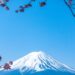 The Descent Is Harder Than the Climb: Lessons in Leadership from Mt. Fuji | by Victoria Drake | The Startup | Jul, 2025