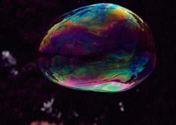 The Environment Change No One Talks About | by Maya Sayvanova | The Startup | Jul, 2025