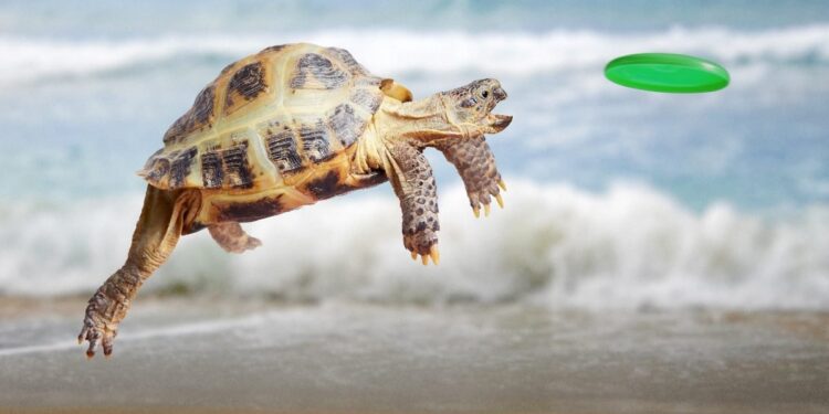 Stop Celebrating Go-Live. Start Measuring Customer Outcomes