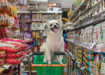 Composable DX Stacks Build Around the Customer Not the System