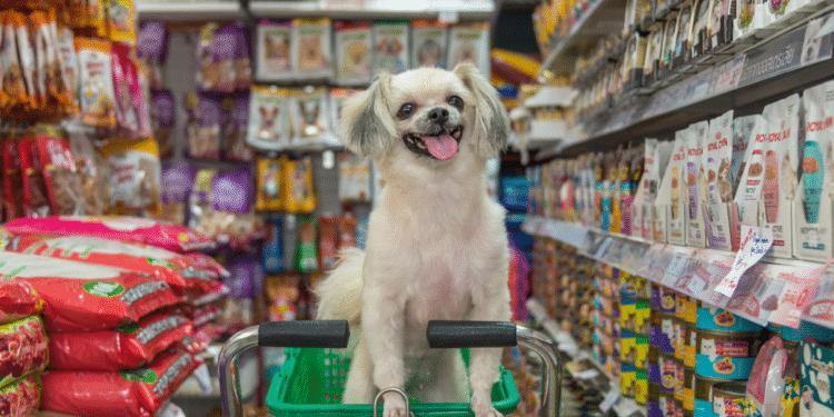 Composable DX Stacks Build Around the Customer Not the System