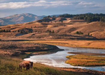 26 Best National Parks to Visit in the US (Our Favourites After 15 Years of Travel)