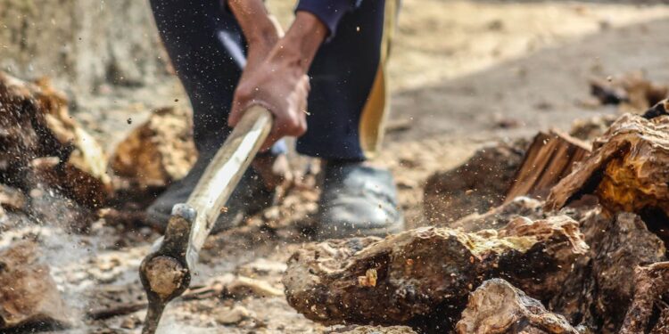 More Work, Less Reward? Bitcoin Mining Toughens As Price Sinks To $113K