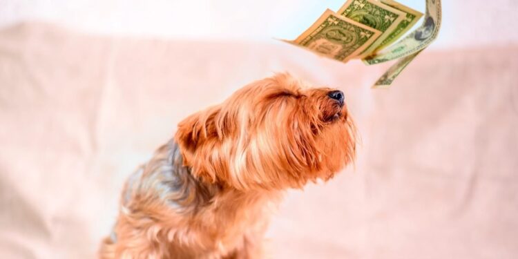 Framer Raises $100M Series D for Enterprise Web Design