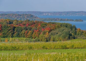 Why One Broken Promise Can Cost You Everything