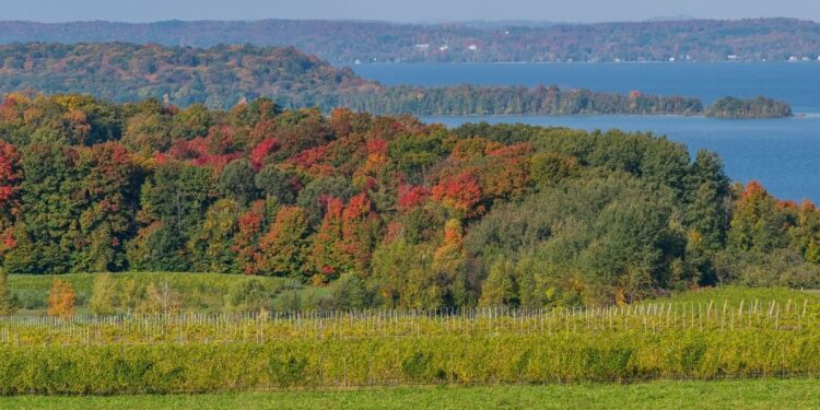 Why One Broken Promise Can Cost You Everything