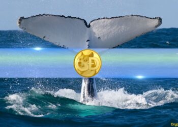 How Are DOGE Whales Reacting to Possible Dogecoin ETF? Santiment Weighs In