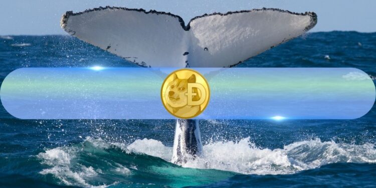 How Are DOGE Whales Reacting to Possible Dogecoin ETF? Santiment Weighs In