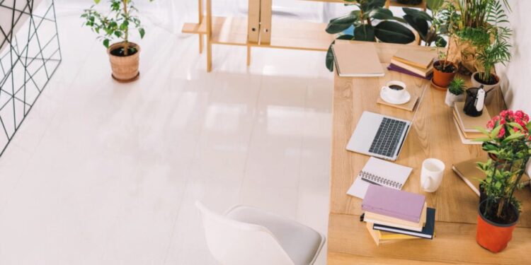 What I Learned About Blogging, Money, and Freedom