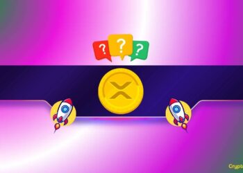 How Far Can XRP’s Bull Run Go?