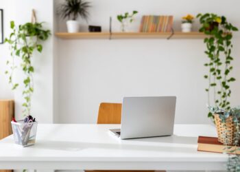 How a Special Needs Trust Can Provide a Lifetime of Support