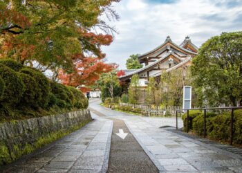 Building Transformer Models from Scratch with PyTorch (10-day Mini-Course)