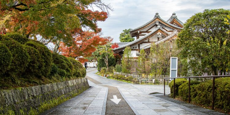 Building Transformer Models from Scratch with PyTorch (10-day Mini-Course)