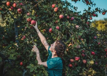 5 Fall Scents That Will Help Sell Your Home