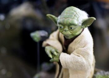 Dos and Do Nots From the Master Yoda of Customer Advisory Boards