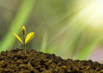 4 Passive Income Investment Ideas to Make Extra Money in 2025 & Beyond