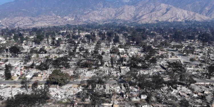 Insurance Startup Uses AI To Offer Coverage in High-Risk California and Florida