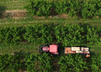 Farmers file appeal alleging agriculture companies’ coordinated boycott